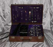Violet Wand Images - View All