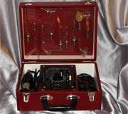 Stylish 9pc Holo Electron Violet Wand